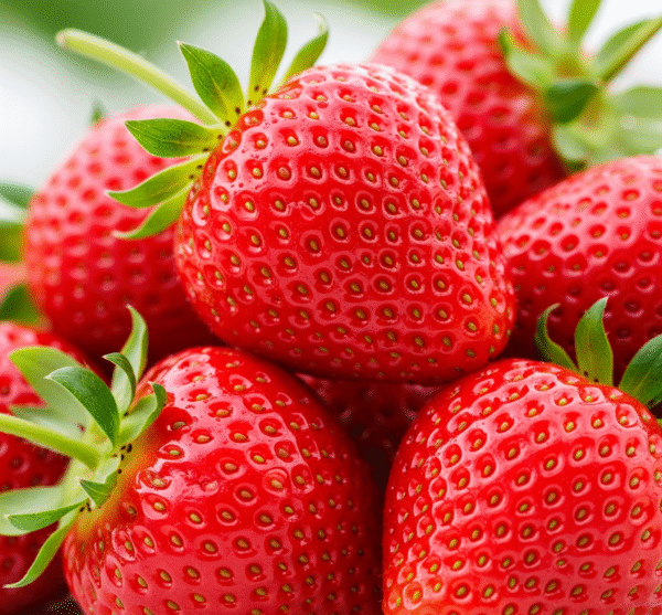 Gemini_Generated_Image_rk26fqrk26fqrk26 Strawberry Seeds