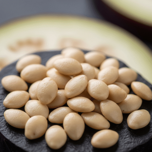 Aubergine Seeds (Bengan)