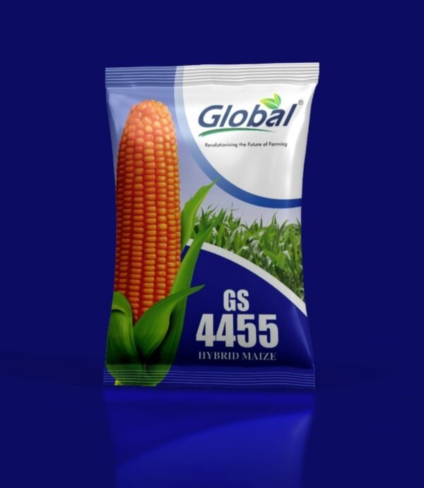 WhatsApp Image 2026-01-04 at 5.41.10 PM HYBRID MAIZE SEED